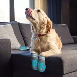 6 Chaussures de chien QUMY pour les chaussées chaudes